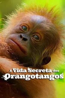 A Vida Secreta dos Orangotangos (2024)